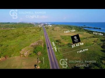 Terreno / Lote , Alvarado · Terreno en Venta en Alvarado, Veracruz