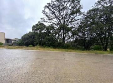 Terreno / Lote · 1100m² · Terreno en Rancho San Juan