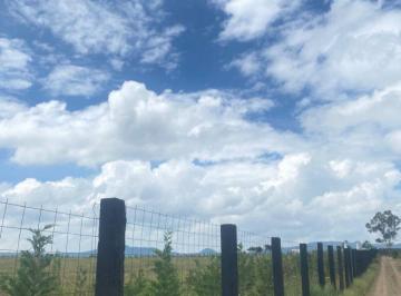 Terreno / Lote en Venta  Ciudad Tapalpa · Terreno en Venta Rancho El Arroyo, Tapalpa