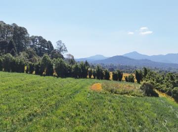 Terreno / Lote · 30178m² · Terreno Ideal Para Rancho o Para Desarrollador de Condominio Campestre