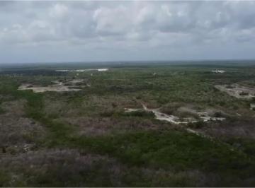 Terreno / Lote · 500000m² · Venta Terreno 50 Ha Costa Mujeres