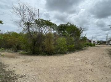 Terreno / Lote , Mérida · Terreno (7) en Esquina en Venta Cholul