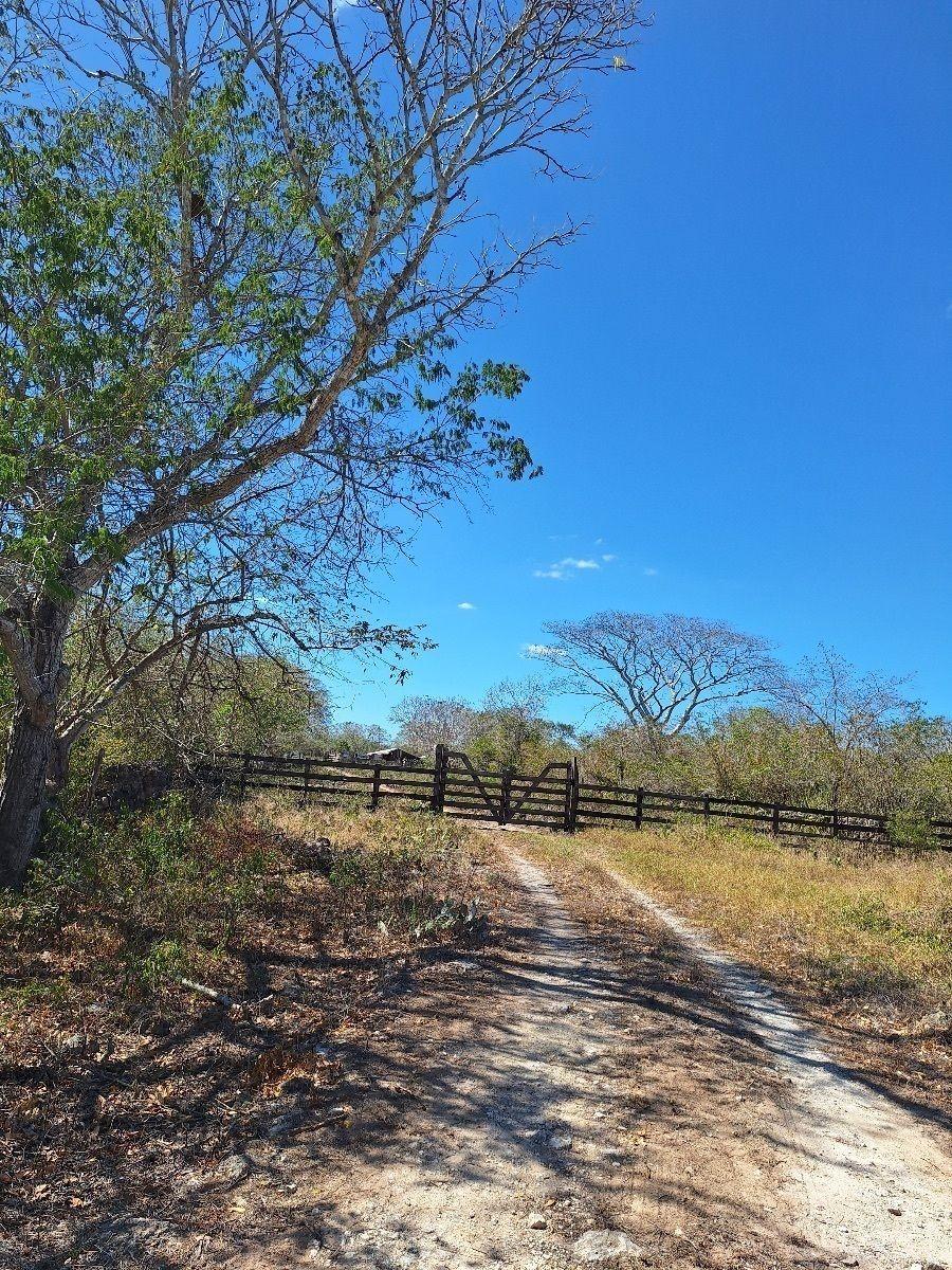 Terreno en Venta en La Mejor Zona Ganadera del Estado de Yucatán