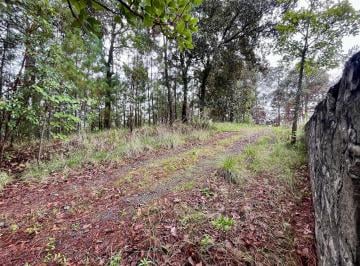 Terreno / Lote · 3240m² · Terreno en Venta - (4)