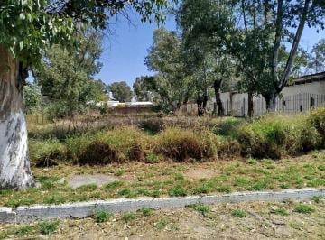 Terreno / Lote , El Marqués · Terreno en Venta, Campestre San Isidro, El Marques, Queretaro - Te437