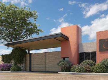Terreno / Lote · Lotes en Venta en Rancho Tetela