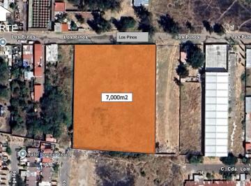 Terreno / Lote , El Salto · Terreno Mixto, 7,000 m² en Lomas El Salto