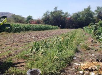 Terreno / Lote , Temixco · Terreno en Venta Para Desarrollar, Plano, en Temixco, Morelos.