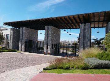 Departamento · 127m² · 2 Recámaras · 2 Estacionamientos · Departamento en Renta con Roof