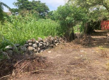 Terreno / Lote , Xochitepec · Venta de Terreno Alpuyeca, Morelos, Km 2 Carretera Cuernavaca / Grutas de Cacahuamilpa