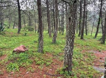 Terreno / Lote , Tapalpa · Terreno en Tapalpa de 1,600 m² en Coto Privado con Vistas Panorámicas – $1,904,000