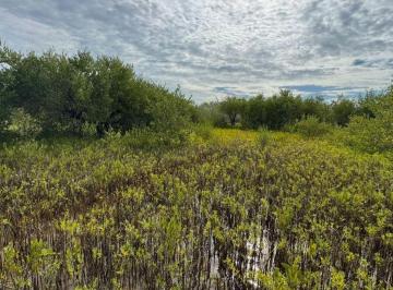 Terreno / Lote , Lázaro Cárdenas · Se Vende Terreno en Holbox, Quintana Roo