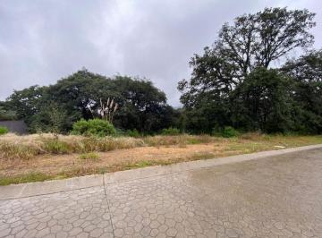 Terreno / Lote · 1100m² · Terreno en Rancho San Juan