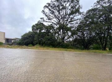 Terreno / Lote · 1100m² · Terreno en Rancho San Juan