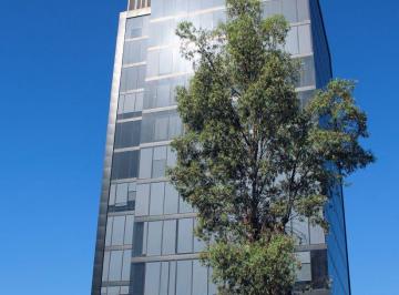 Oficina , Zapopan · Piso 7 y 8 Disponible en Torre Meya $345 m²