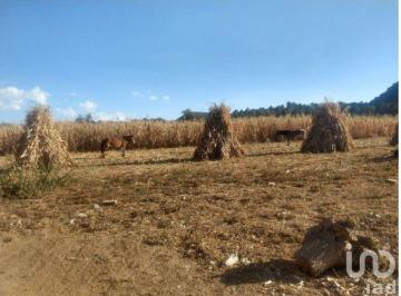 Terreno / Lote · 18792m² · Terreno en Venta Tlalmanalco Edo de Mex