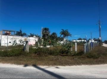 Terreno / Lote , Progreso · Se Vende Terreno en Chicxulub Puerto Ideal Para Inversionistas