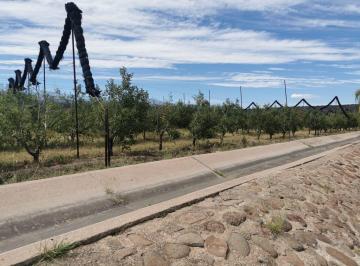 Villa · 170000m² · Villa - Alvaro Obregón