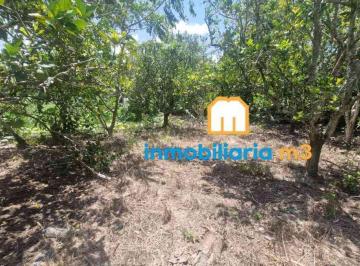Terreno / Lote , Papantla · Venta de Terreno en Polutla, Veracruz