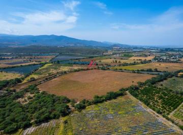 Terreno comercial , Zacoalco de Torres · Terreno Agrícola en Renta en Zacoalco de Torres: 10 Ha con Pozo Vigente y Luz