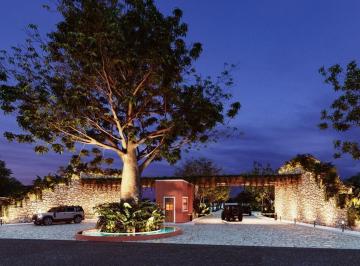 Terreno / Lote · 376m² · Terrenos Residenciales en Progreso Yucatan