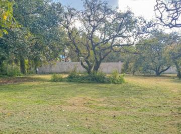 Terreno / Lote · 1000m² · Terreno en Venta Totalmente Plano