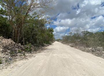 Terreno / Lote · 2500m² · Terreno en Renta en Cancun Atras de Sumacasa Huayacan