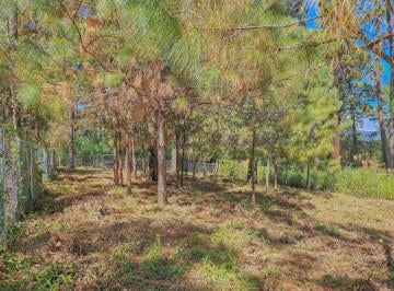 Terreno / Lote · 840m² · Terreno Boscoso en Venta Zona Residencial en Avándaro.