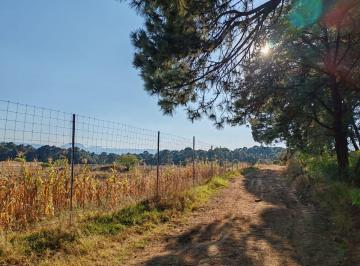 Terreno / Lote , Donato Guerra · Terreno en Venta en Donato Guerra