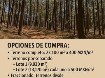 Terreno / Lote , Mazamitla · 2 Terrenos en Pinos de Mazamitla
