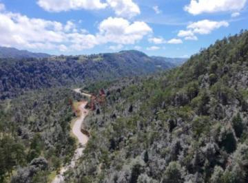 Terreno / Lote · 207414m² · Venta de 20 Hectáreas en Acaxochitlán