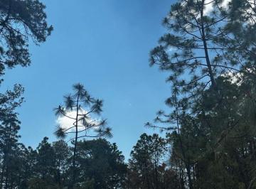 Terreno / Lote , Tapalpa · Venta de Terreno Campestre en Tapalpa Jalisco con Servicio de Energía Eléctrica