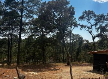 Terreno / Lote , Tapalpa · Venta de Terreno Campestre en Tapalpa Jalisco con Servicio de Energía Eléctrica