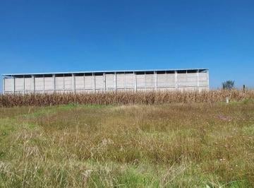 Terreno / Lote · 1000m² · Terreno en Venta, San Diego de Los Padres Cuexcontitlán, Toluca, Estado de México. - (4)
