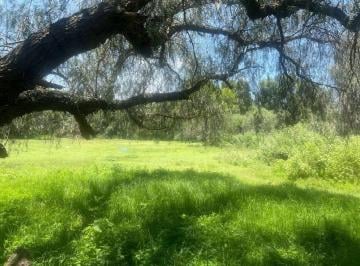 Terreno / Lote · 3342ha · Excelente Terreno en Santiago Tlapanaloya, Tepeji del Río