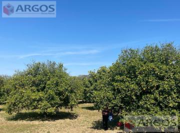 Terreno / Lote · 3000m² · Terreno Campestre en Venta, Cadereyta, N. L.