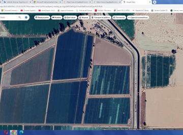Terreno / Lote , Mexicali · En Venta Excelente Terreno Agricola