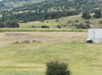 Terreno / Lote , Tecali de Herrera · Terreno Para Lotear. Ejido 8,000 m²