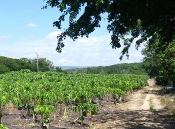 Terreno comercial , Chiapa de Corzo · Rancho en Venta Denominado "Las Gardenias" en Chiapa de Corzo