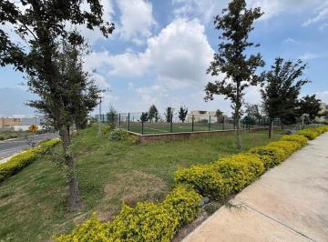 105336b74a41745db766e1a5d448f8ccb0d7b9523916b1884d67b7608b4a19d5 · Terreno en Venta de 217 m²