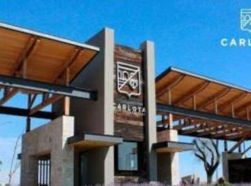 Terreno / Lote · 260m² · Terreno en Venta Hacienda Carlota - (4)