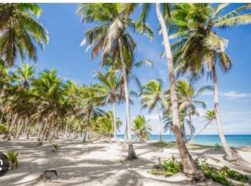 Terreno / Lote · 11377m² · Terreno Frente Al Mar en Costa Uvero, Bacalar – 79 m de Frente Al Mar. Playa Virgen · Ideal Para Hot