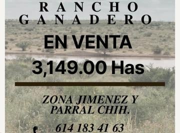 Rancho de 5 habitaciones, Hidalgo del Parral · ¿Buscas un Rancho Grande, con Agua, Pasto y Listo Para Meter Ganado?conoce Rancho Julimes de Alfaro