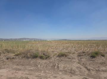 Terreno comercial , Zapotlán de Juárez · Venta de Terreno, Ejido Acayucan, en Zapotlan de Juarez (Atras del C - 5)