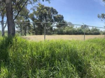 Terreno / Lote · ¡Imagina El Éxito de Tu Negocio en La Puerta de Entrada a Chipilo, Puebla! Este Terreno Es La Oportu