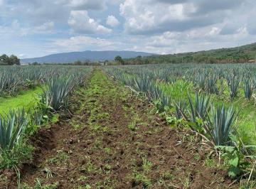 Terreno / Lote , El Salto · Terreno en Venta en Av Las Torres, Jalisco
