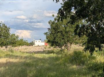 Rancho · 240m² · 1 Recámara · Rancho en Producción en Parras