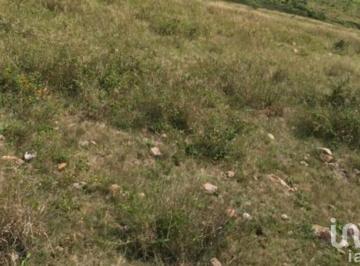 Terreno / Lote · 21000000m² · Se Vende Rancho Ganadero El Rodeo