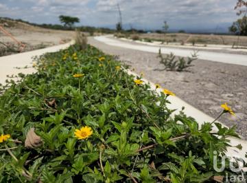 Terreno / Lote · 250m² · Terrenos en Preventa en Cuauhtemoc. Alta Plusvalía. Escriturables con Servicios.