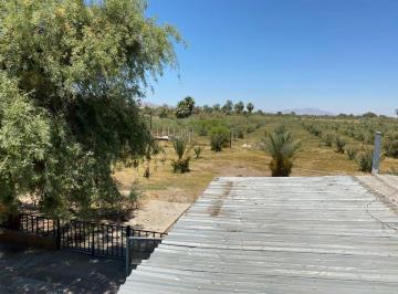 Rancho de 1 habitación, Mexicali · Se Vende Rancho con Produccion de Datil